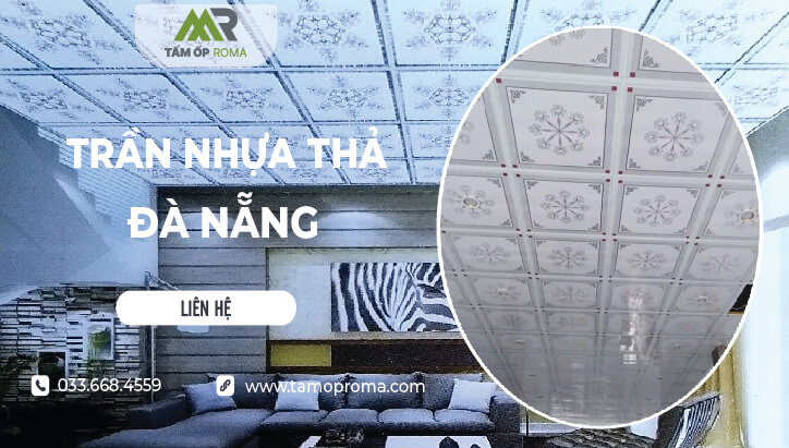 tran-nhua-tha-da-nang-12