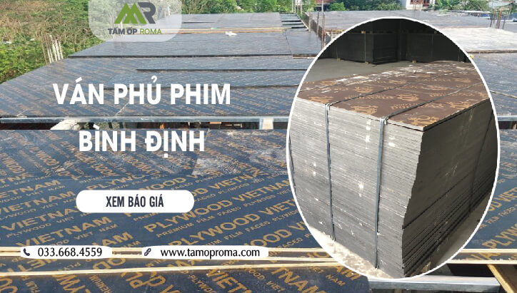 van-phu-phim-binh-dinh-10